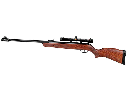 RIFLE DE DIABOLO GAMO CAL 5.5 HUNTER 440-AS MIRA LC4X32WR 611005655-NAS57