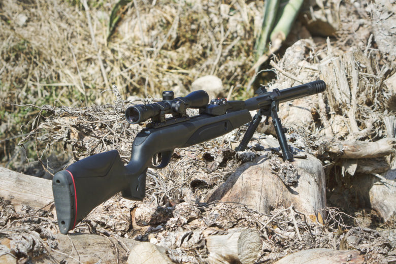 RIFLE DE DIABOLO GAMO CAL 5.5 SPEEDSTER IGT 10X GEN3I MIRA G39X40WR P6110039255-IGT57