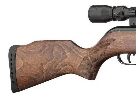 RIFLE DE DIABOLO GAMO CAL 5.5 HUNTER 440-AS MIRA G39X40WR 611005655-NAS57