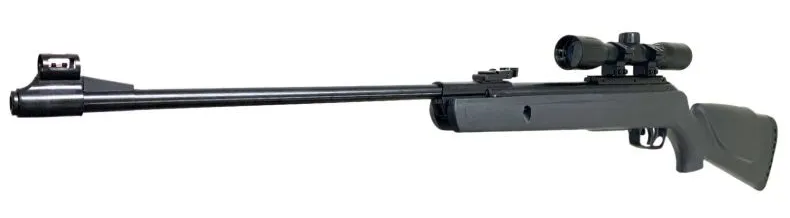 RIFLE DE DIABOLO GAMO CAL 5.5 BIG CAT 1000 MIRA VF4X28WR P611006575557