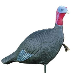 [SG847] SEÑUELO SENCILLO GUAJOLOTE STORM AGRESIVO SF00847